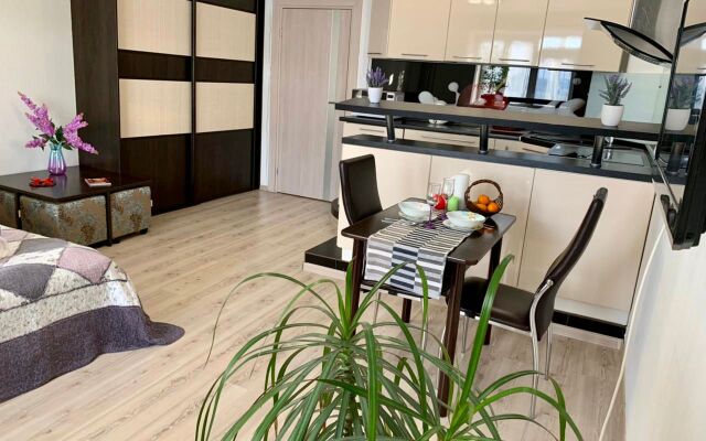 Апартаменты в центе Тюмени, Гелерея Вояж, Гор Сад