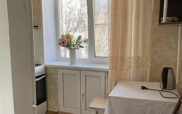 Квартира на троих в центре