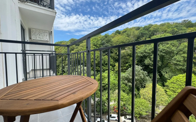 Sineva Uk Atmosfera S Vidom Na Gory Apartments