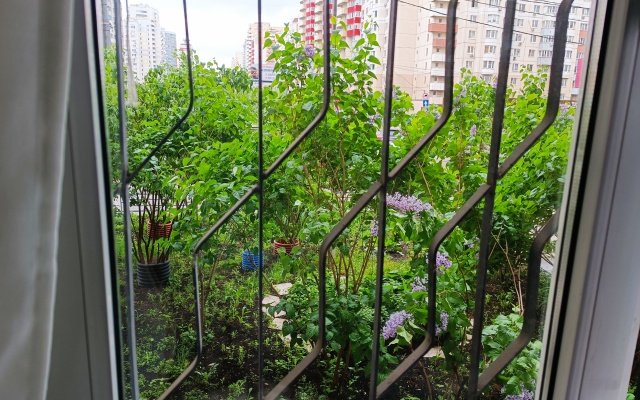 Апартаменты Studio Crocus 3 на Ильинском 2А