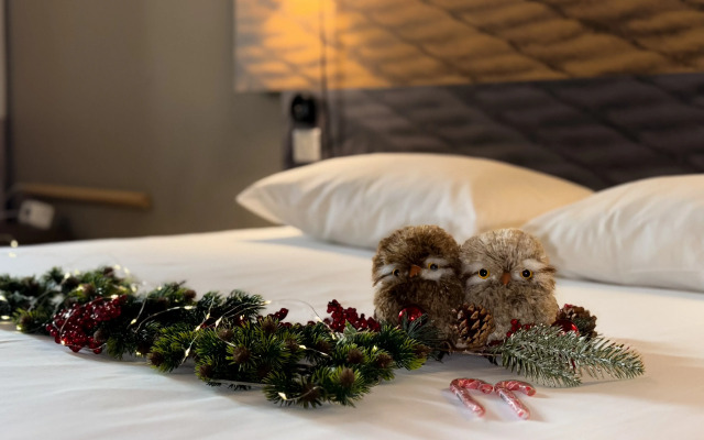 Ibis Irkutsk Tsentr Hotel