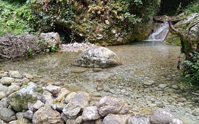 Uschelye Gagripsh Hotel