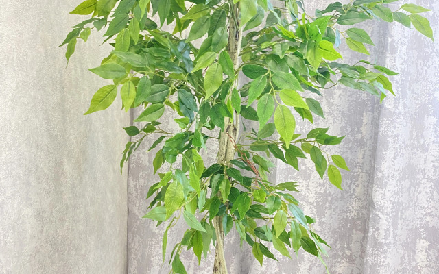 Квартира ЖК Сердце Сибири