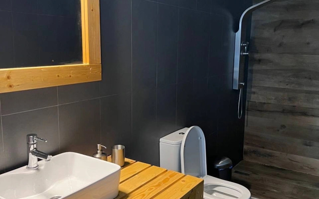 Частный Дом Коттедж 250м² у Реки