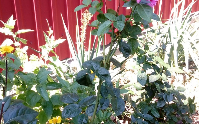 Гостевой дом на Стасова