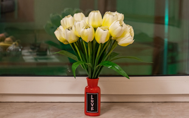 Апартаменты BRAVO Residence on Nevskiy 97