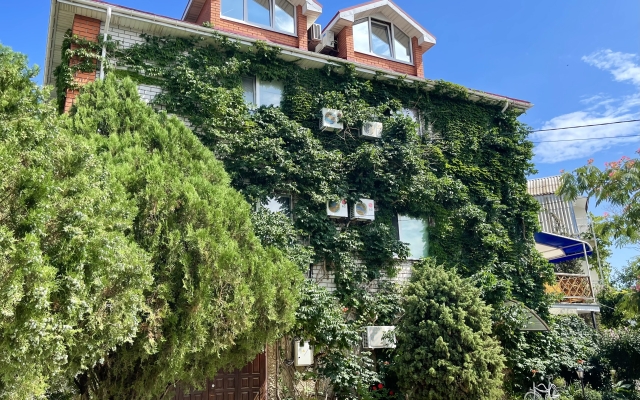 Yolki Guest House