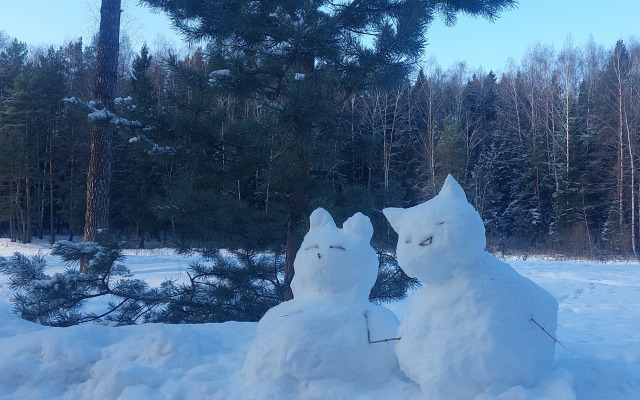Частный дом в Заветах Ильича с розовой гостиной
