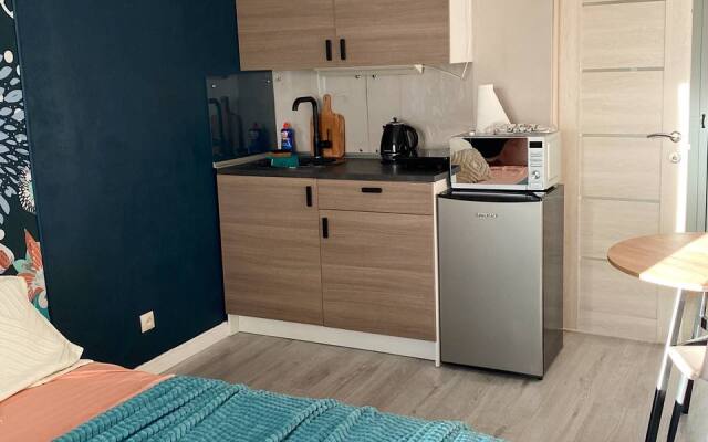 Апартаменты Тишина у Метро и Парка