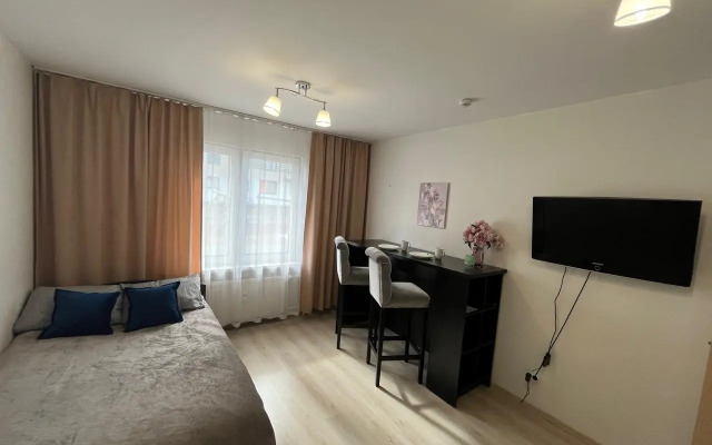 Квартира Уральское время на Евгения Савкова 46