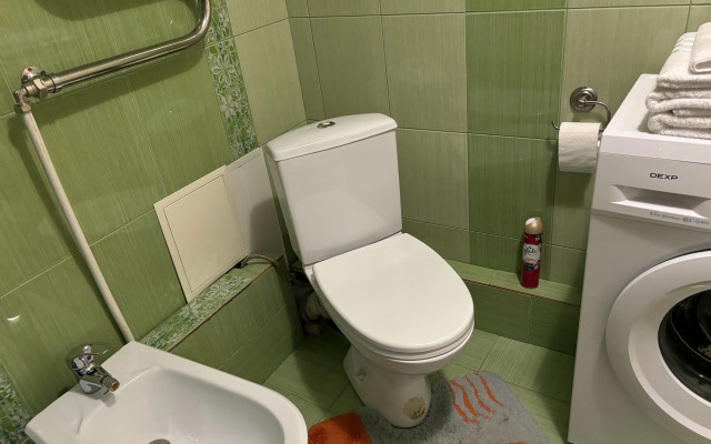 Tryokhkomnatnaya Kvartira Na Pushkinskoy Flat
