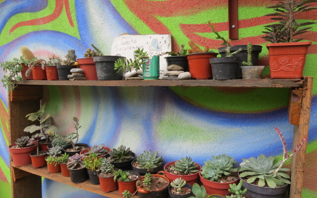 Отель Casa Verde Xilitla by Rotamundos