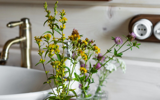 Гостевой дом Сирин Дом Суздаль