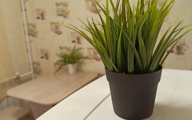 Квартира Красный проспект 59