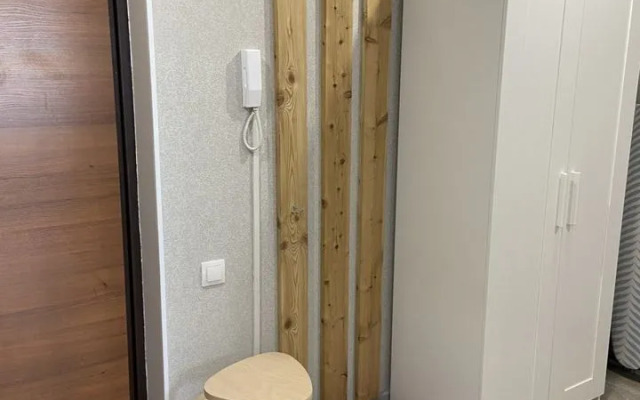Na ulitse Yeleny Kolesovoy 26B Flat