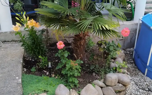 Rozaliya Guest house