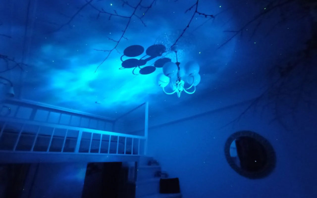 Квартира Студия с авторским декором Сказочный лес в красивом доме