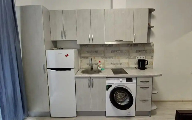 Studiya S Terrasoy V Tsentre Flat