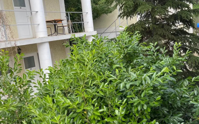 Гостевой дом 1000 Звёзд #2