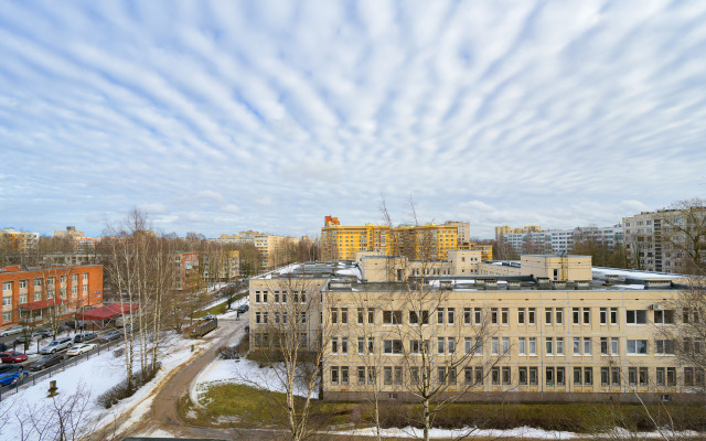 Vavilovykh  7K 4 Flat