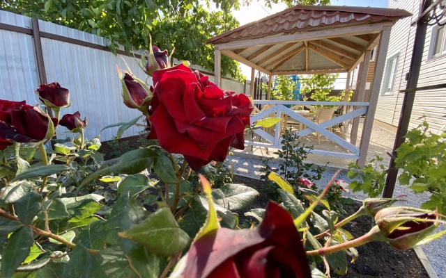 38 Popugaev Guest House