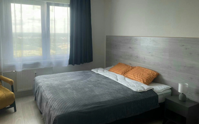 Апартаменты Серый Гусь