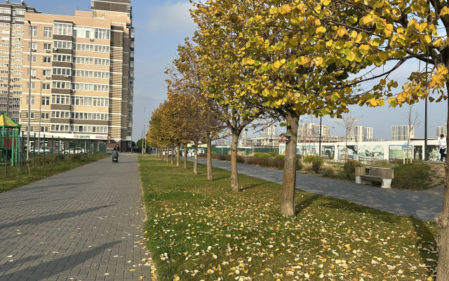 Квартира Двухуровневая Уютная