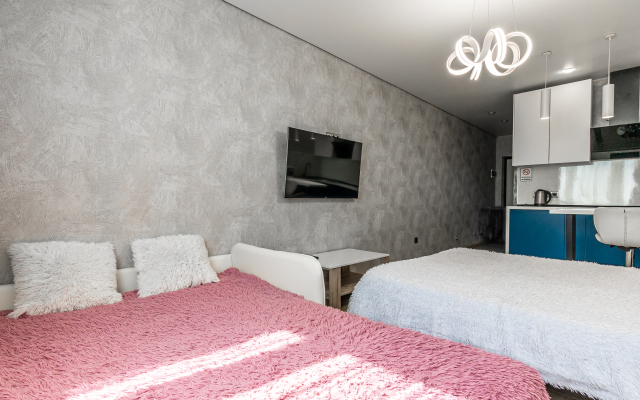 Sovremennye S Novym Remontom Apartments