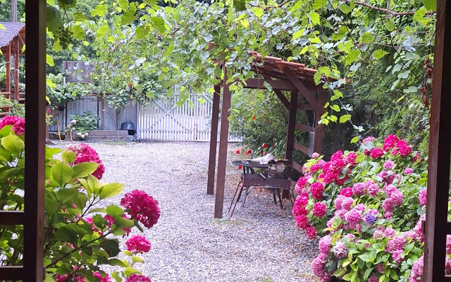 Ahan Guest House