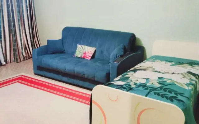 Квартира Колледж, НУРМК, Газпром Техникум