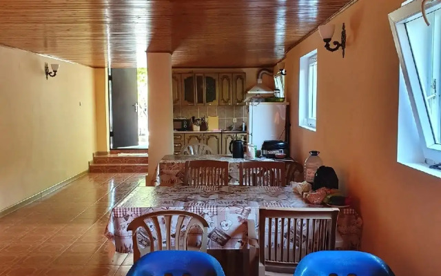 Abaza Guest House