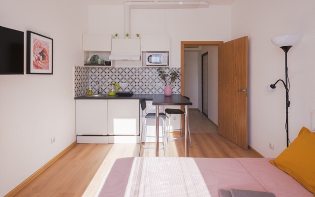 Studia Zheltaya v Poselke Pesochnom Flat