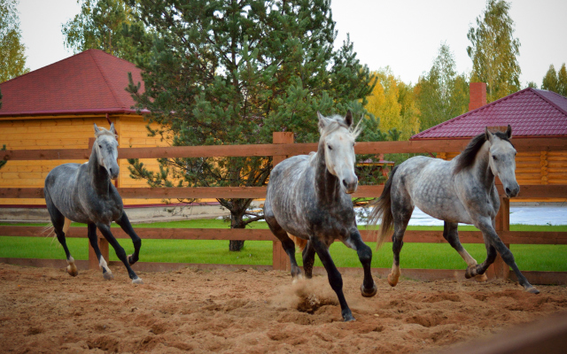 База Отдыха Лесное Озеро