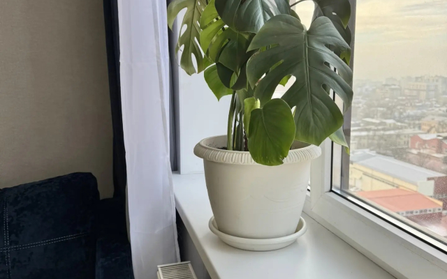 Апартаменты  Ростов-на-Дону  26-Линия 35/2