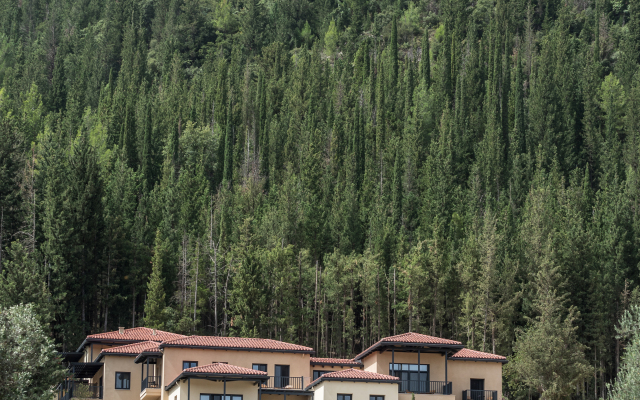Euphoria Retreat - A Holistic Wellbeing Destination Spa