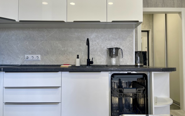 Studiya, metro Moskovskaya Rauktis apartanents Flat