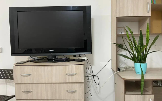 V tsentre Flat