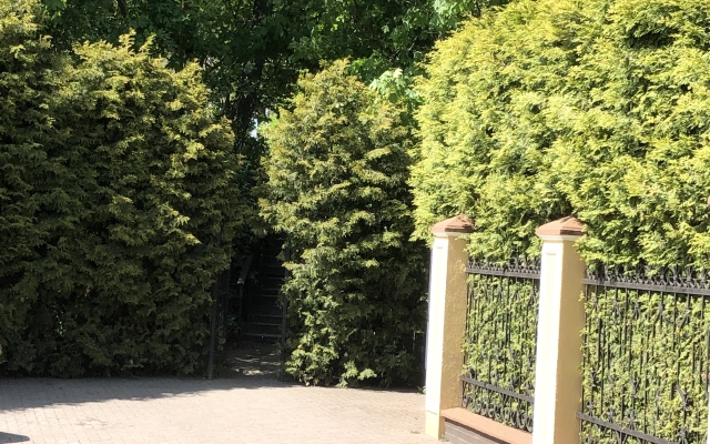 Апартаменты-студия у моря