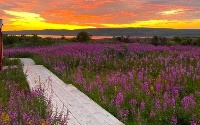 Бунгало Atv51