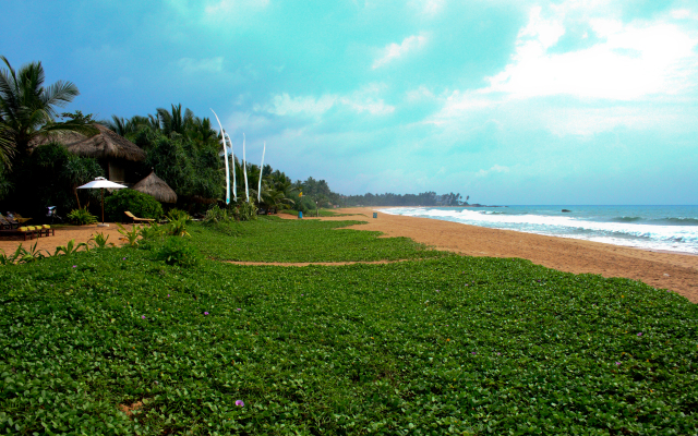 Temple Tree Resort & Spa