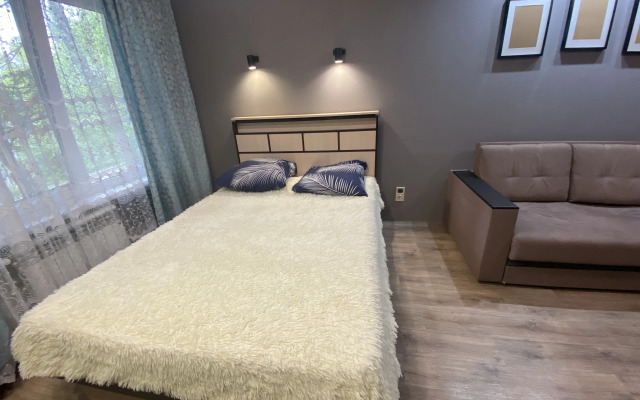 Квартира однокомнатная на Кижеватова 9