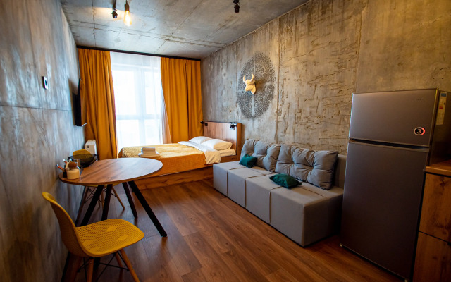 Апартаменты Бизнес Студия с Проектором №298-1