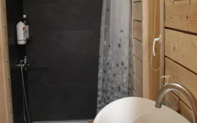 Частный дом в берёзовой роще