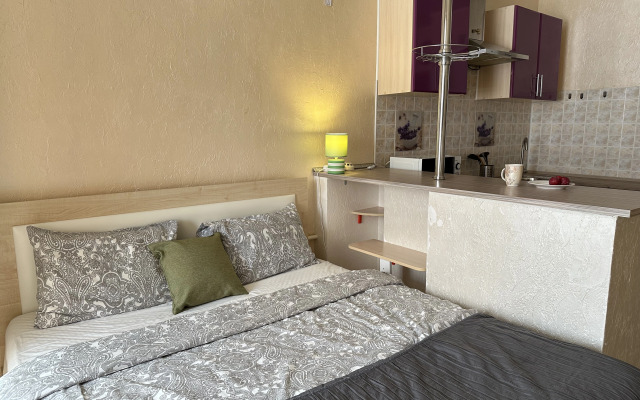 Квартира Яркая Студия в Новом Жк