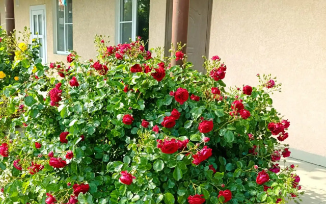 Гостевой дом Солнечная Поляна