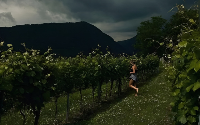 Глэмпинг Vineyard