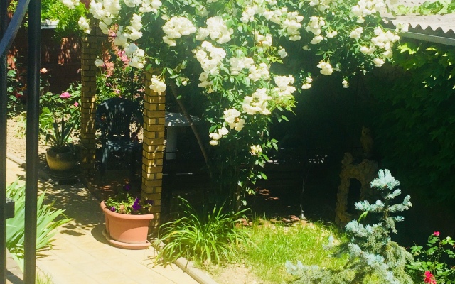 Chernomore Guest House