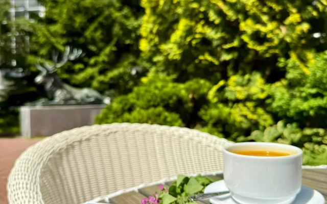 Отель Оздоровительный комплекс Сосны