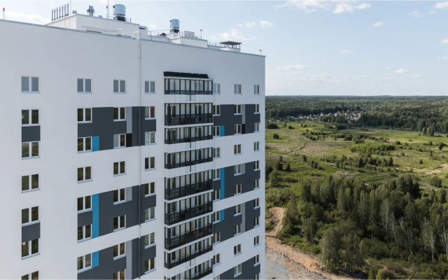 Апартаменты Серый Гусь