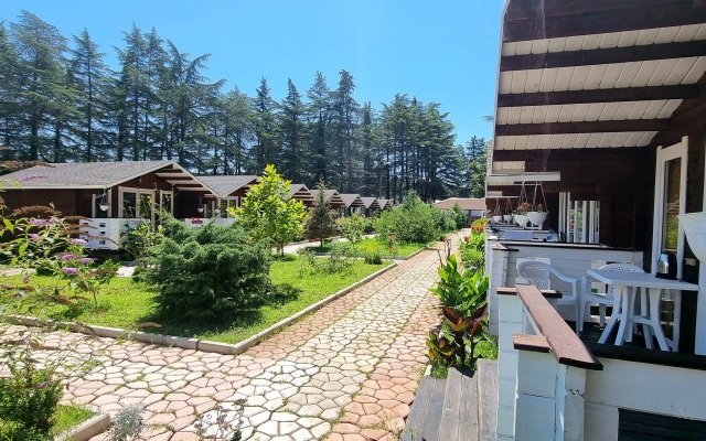 Eco House Pitiunt Resort Hotel